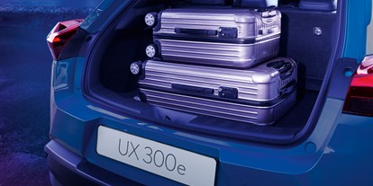 Electric cars - App: serie - Lexus UX 300e