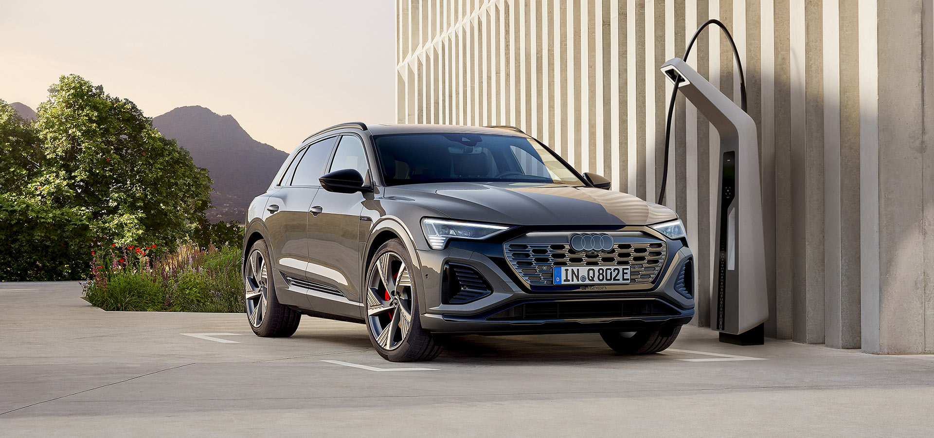 Elektroauto Modell: Audi Q8 e-tron advanced 50