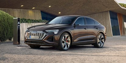 Electric cars - Head-up Display: optional - Audi Q8 Sportback e-tron 55 advanced quattro