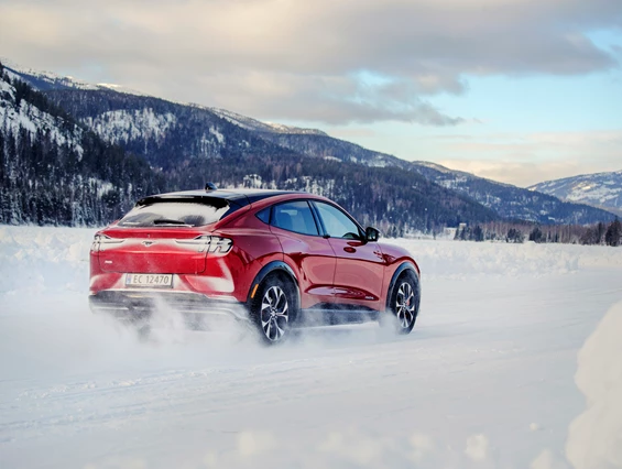 Elektroauto Modell: Ford Mustang Mach-E AWD Standard Range