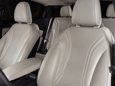 Elektroauto Modell: Ford Mustang Mach-E Standard Range