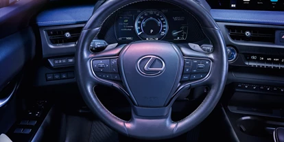 Electric cars - ESP - Lexus UX 300e