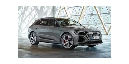 Elektroautos - Panoramadach: optional - Audi e-tron 50 quattro