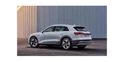 Elektroautos - Panoramadach: optional - Audi e-tron 50 quattro