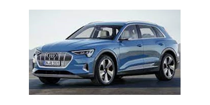 Elektroautos - Panoramadach: optional - Audi e-tron 55 quattro