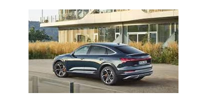 Elektroautos - Panoramadach: optional - Audi e-tron 55 quattro