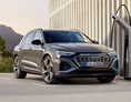 Elektroauto Modell: Audi Q8 e-tron advanced 50