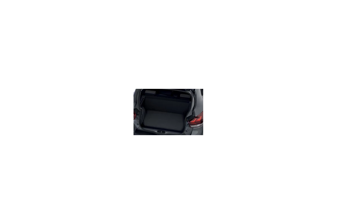 Elektroauto Modell: Dacia Spring Electric