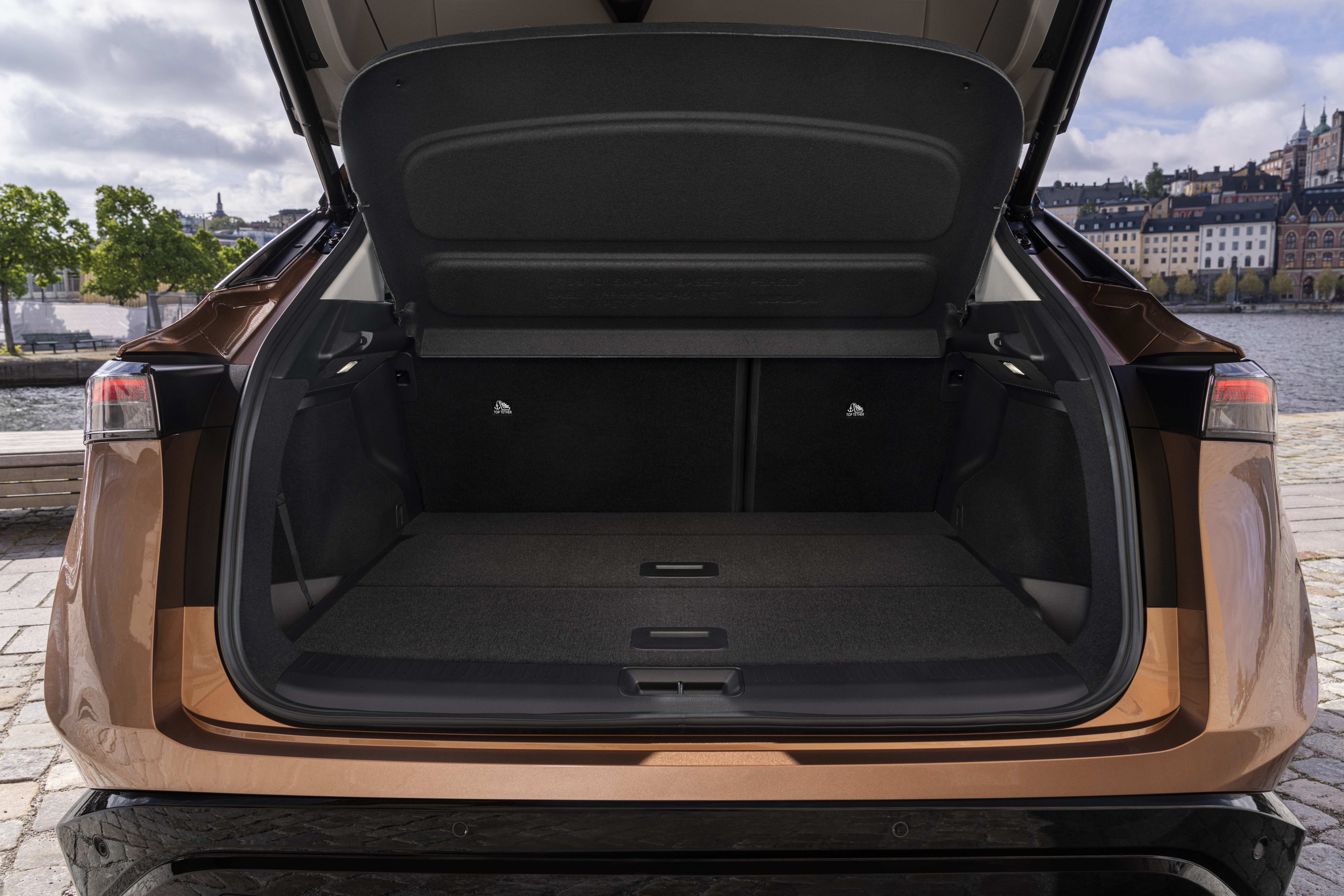 Elektrische auto's - Schnellladen - Nissan Ariya 87 kWh